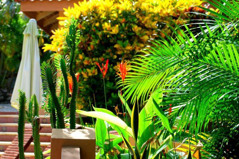Hotel Ritmo Tropical Playa Santa Teresa (Puntarenas) Bagian luar foto